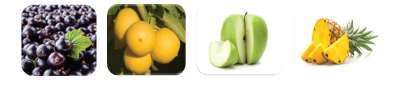 testa-fragranza